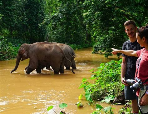 Kindred Spirit Elephant Sanctuary .